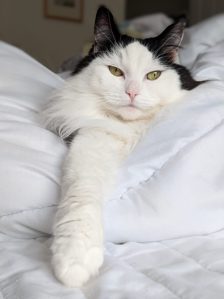 Tilly